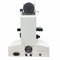 Microscope Hot Sale Light Source Adjustable Customized Binocular Stereo