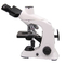 Hot Sale Optical Biological Microscope With Compound Optical Microscope Biological High Precision
